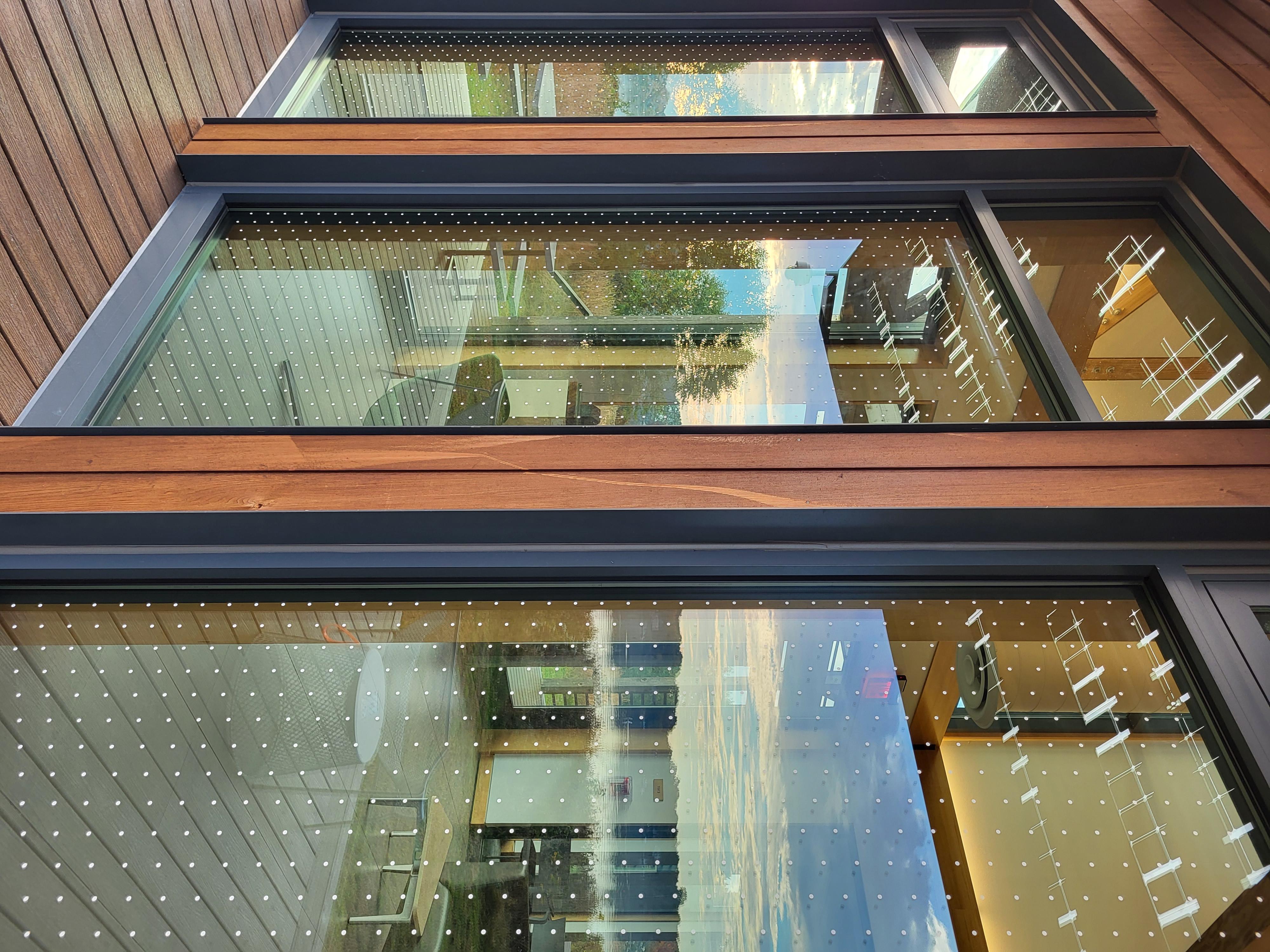 Feather Friendly windows at SG Hall